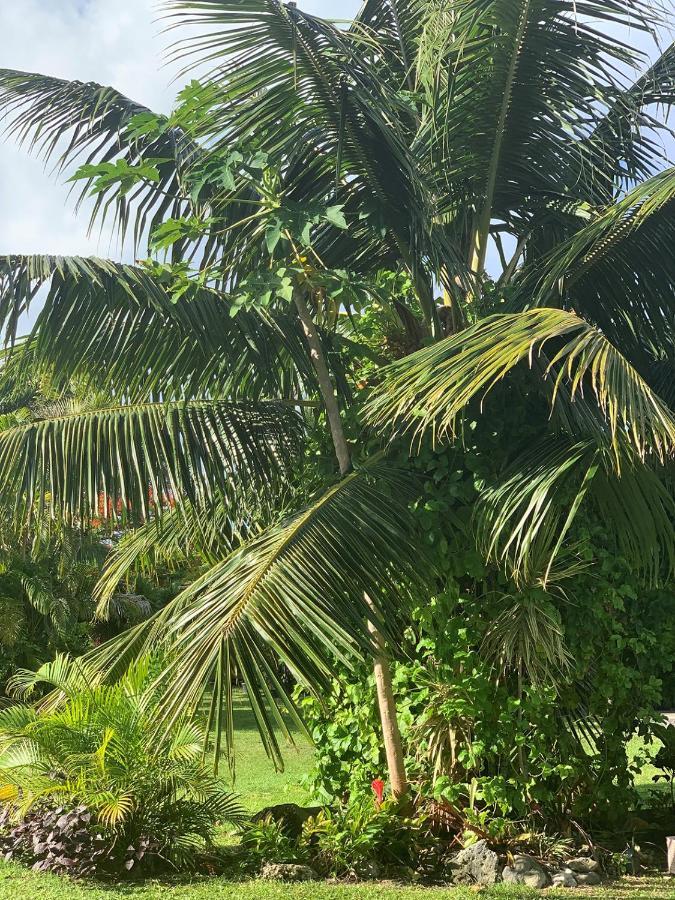 Bella Casa Villa Rarotonga Dış mekan fotoğraf