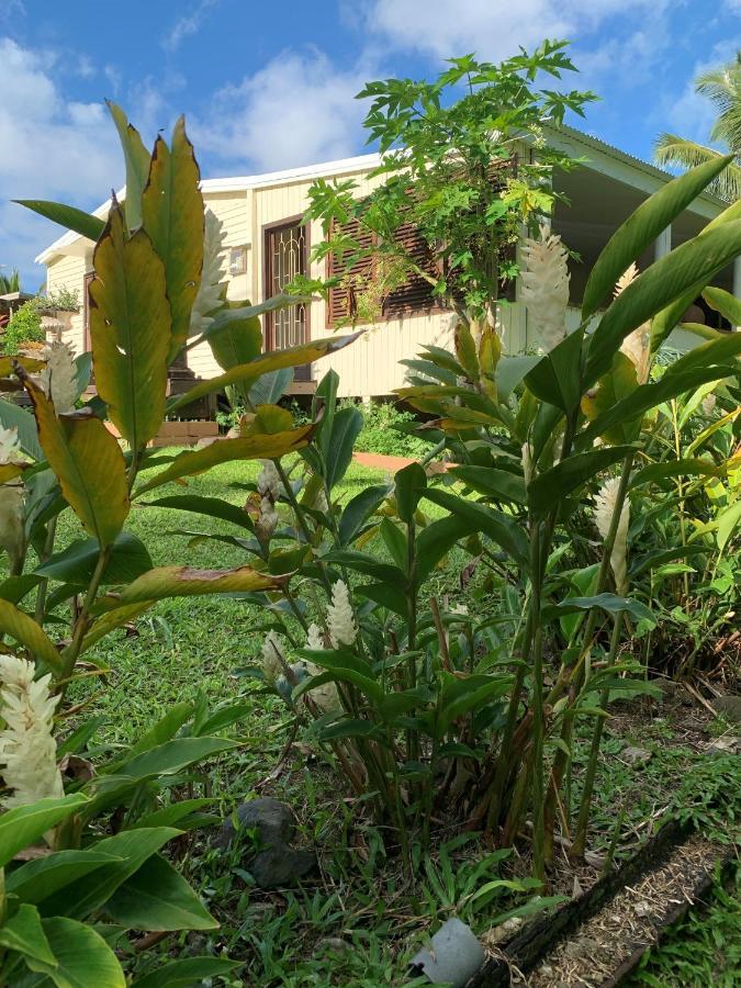 Bella Casa Villa Rarotonga Dış mekan fotoğraf